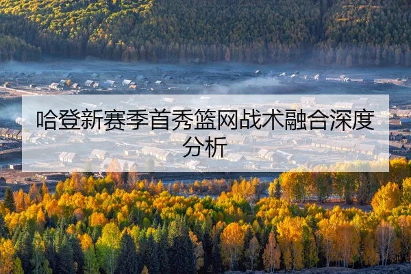 ha-deng-xin-sai-ji-shou-xiu-lan-wang-zhan-shu-rong-he-shen-du-fen-xi-2-595.jpg